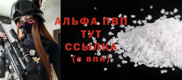 ешки Белокуриха