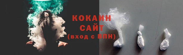 индика Бугульма