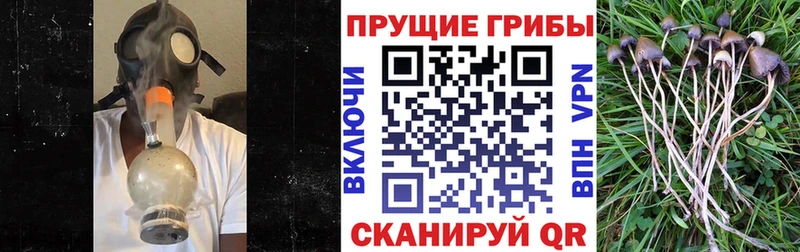 Галлюциногенные грибы мицелий  Купить закладки  Хадыженск 