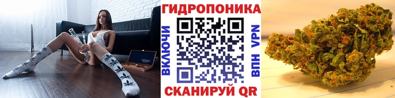 Купить где  Хадыженск  Каннабис Bruce Banner 